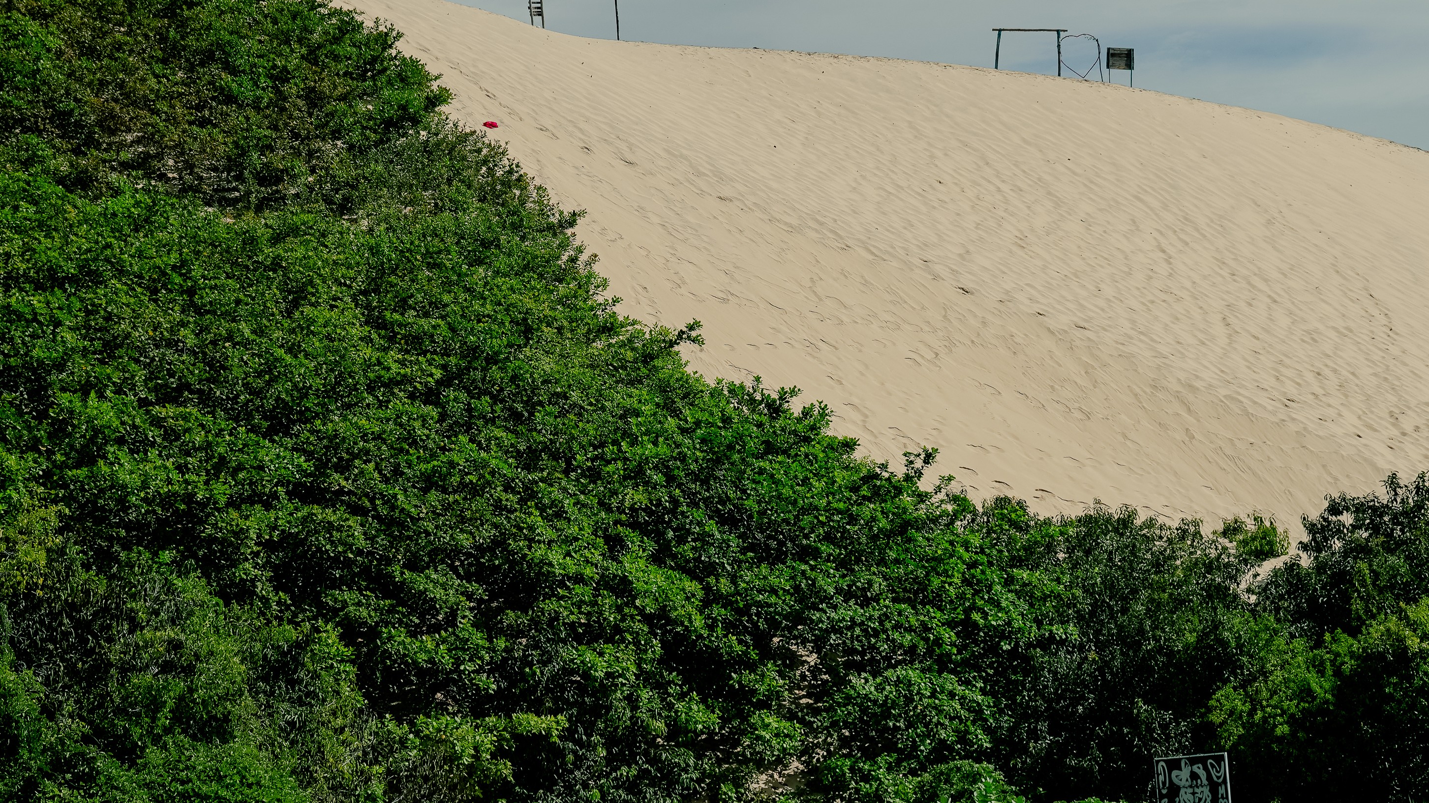 a imagem mostra uma duna e vegetação verde ao seu redor
